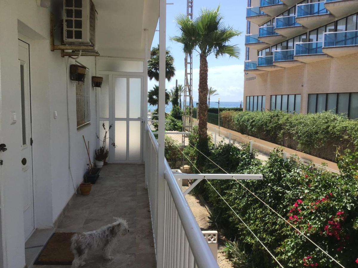 Ferienwohnung Carpe Diem El Albir Exterior foto